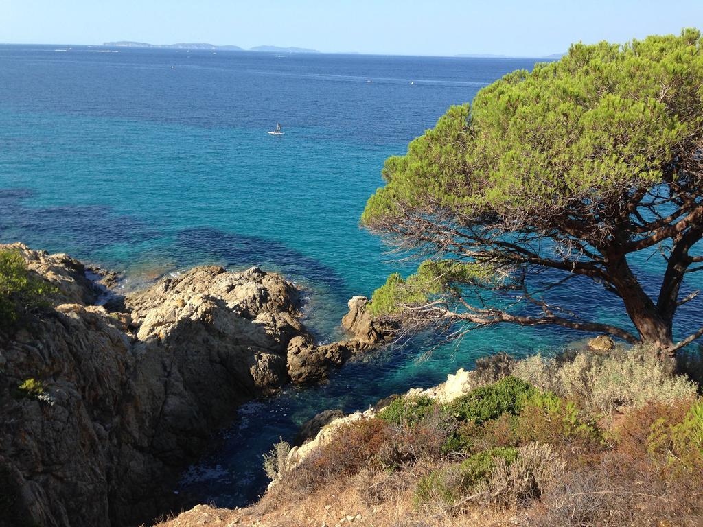 Les Ilets De L'Eau Blanche Daire Cavalaire-sur-Mer Dış mekan fotoğraf